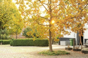 sfeerfoto's Domein Tombos