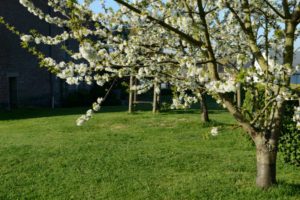 sfeerfoto's Domein Tombos