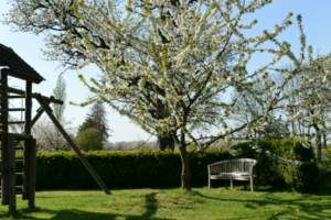 sfeerfoto's Domein Tombos