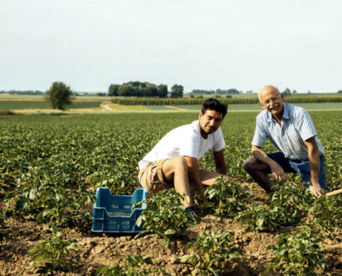 hoeveproducten Haspengouw