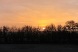 sfeerfoto's Domein Tombos