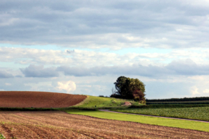 weekendje weg Haspengouw