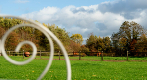 sfeerfoto's Domein Tombos